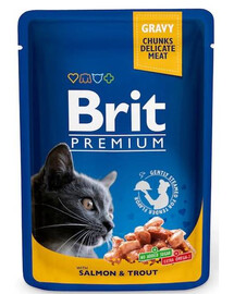 BRIT Premium Cat Adult kapsička s lososem a pstruhem pro kočky 24x 100 g