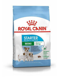 Royal Canin SHN Mini Starter Mother&Baby Dog granule pro březí feny a štěňata malých plemen 4 kg