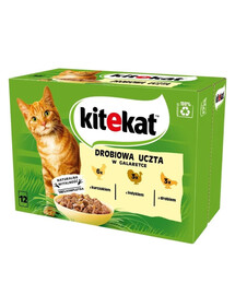 KITEKAT Poultry Feast v želé 12x85g mokré krmivo pro kočky s kuřecím, krůtím a drůbežím masem