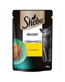 SHEBA Delicacy in jelly 85g kousky kuřete v želé pro kočky