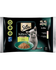 SHEBA Kitten 4x85g Kapsička s lososem a kuřecím masem pro koťata