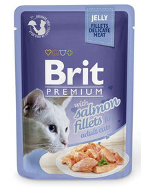 BRIT Premium Cat  Fillets in Jelly mokré krmivo s lososem pro kočky 24x85 g