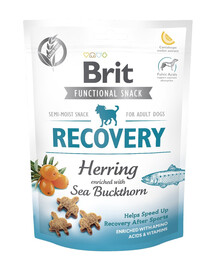 BRIT Care Dog Functional snack Recovery Herring 150g pochoutka se sleděm pro aktivní psy