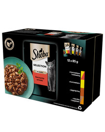 Sheba Selection in Sauce Juicy Flavors  krmivo pro kočky v omáčce (s hovězím, s jehněčím, s kuřecím masem, s krůtím masem) kapsička 12x85 g