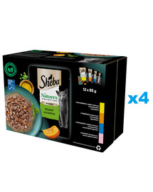 SHEBA Nature’s Collection Výběr příchutí 48x85 g kompletní krmivo pro dospělé kočky v omáčce, kousky s: kuře, krůta, tuňák, losos