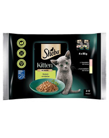 SHEBA Kitten Výběr příchutí, 5x4x85g kapsičky, kompletní krmivo pro koťata v omáčce, kousky s: losos, kuřecí maso