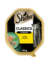 SHEBA Classics Drůbeží koktejl 85g - krmivo pro kočky v paštice 85g