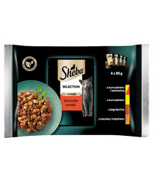 SHEBA Selection in Sauce Juicy Flavors kapsička - krmivo pro kočky v omáčce (s hovězím, jehněčím, kuřecím, krůtím) 4x85g