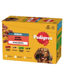 PEDIGREE Senior Výběr příchutí kapsiček 12x100 g