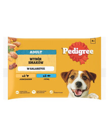 PEDIGREE Adult Výběr příchutí kapsiček 4x100 g