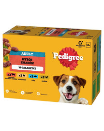 PEDIGREE Adult Výběr příchutí kapsiček 12x100 g