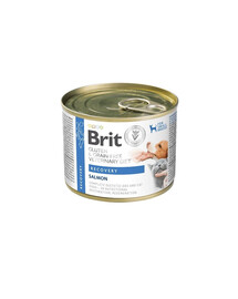 BRIT Veterinary Diet Grain Free Recovery 200 g losos a kuřecí játra pro psy a kočky během rekonvalescence
