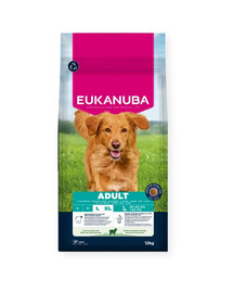 EUKANUBA Adult Large Breeds Lamb Rice 12kg suché krmivo bohaté na jehněčí maso a rýži pro psy velkých plemen