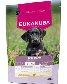 EUKANUBA Puppy Large Breeds Chicken 800 g suché krmivo pro štěňata velkých plemen, bohaté na čerstvé kuřecí maso