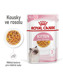 ROYAL CANIN Kitten Instinctive Jelly 85g x 12 kapsička pro koťata v želé