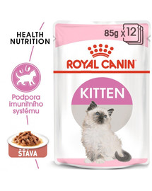 ROYAL CANIN Kitten Instinctive v omáčce