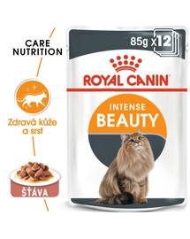 ROYAL CANIN Intense beauty v omáčce