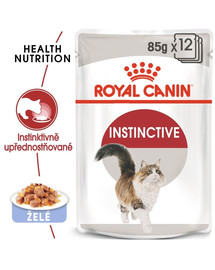 ROYAL CANIN Instinctive v želé