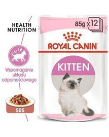Royal Canin Kittem Instinctive 12 x 85 g- mokré krmivo pro koťata, v omáčce 12x85g