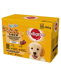Pedigree Vital Protection Junior želé kompletní krmivo 12x 100 g kapsičky pro psy