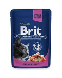 Brit For Wellness & Beauty Salmon & Trout 100g - Losos a pstruh - vlhké krmivo pro kočky