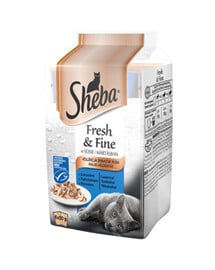 SHEBA kapsička 6 x 50 g Fresh & Fine - krmivo pro kočky v omáčce (s lososem, tuňákem, treskou) 6x50g