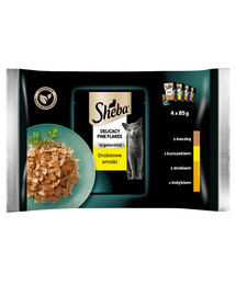 SHEBA Delicacy in Jelly Drůbeží příchutě - krmivo pro kočky v želé (s kuřecím, krůtím, kachním, drůbežím) kapsičky 4x85g