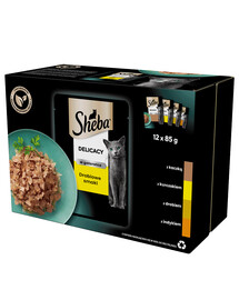 SHEBA Delicacy in Jelly krmivo pro kočky s drůbeží příchutí v omáčce 12x85g
