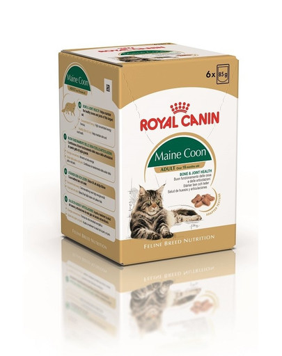 ROYAL CANIN Mainecoon 85 g kapsa 6x85 g