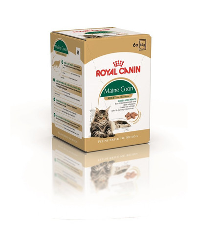 ROYAL CANIN Mainecoon 85 g kapsa 6x85 g