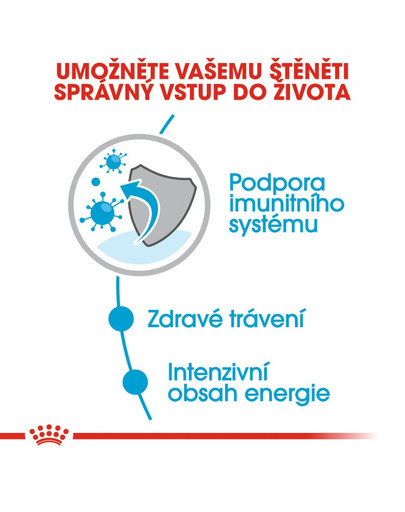 ROYAL CANIN Mini Puppy 85 g x12 kapsička pro malá štěňata