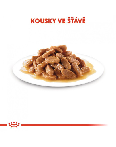 ROYAL CANIN Mini Puppy 85 g x12 kapsička pro malá štěňata