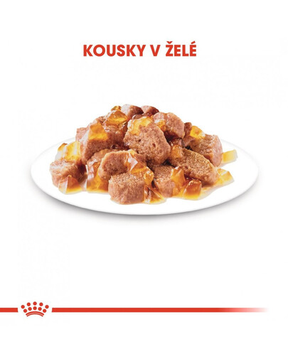 ROYAL CANIN Sterilised  85g x12 Jelly kapsička pro kastrované kočky v želé
