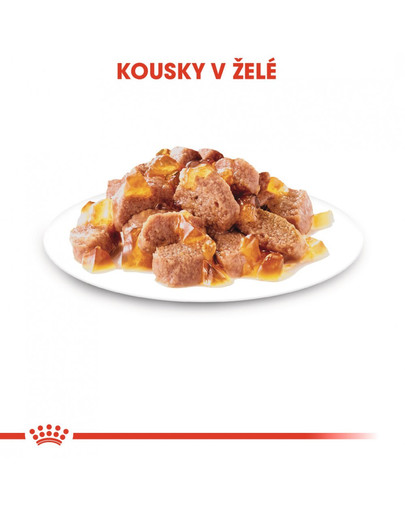 ROYAL CANIN Sterilised Jelly 85g x 12 kapsička pro kastrované kočky v želé
