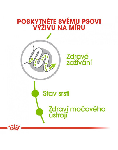 ROYAL CANIN X-Small adult 3 kg granule pro dospělé trpasličí psy
