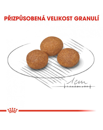 ROYAL CANIN X-Small Adult 8+ 500g  granule pro stárnoucí trpasličí psy