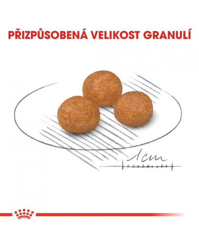 ROYAL CANIN X-Small adult 3 kg granule pro dospělé trpasličí psy
