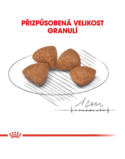 ROYAL CANIN X-Small puppy 500g granule pro trpasličí štěňata