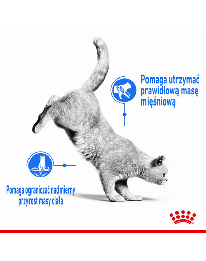 ROYAL CANIN Ultra Light Jelly 85g x12 kapsičky pro kočky s nadváhou v želé