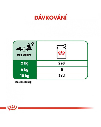 ROYAL CANIN Mini ageing 12+ 12x85g kapsičky pro malé, starší psy