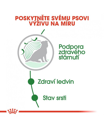 ROYAL CANIN Mini ageing 12+ 12x85g kapsičky pro malé, starší psy