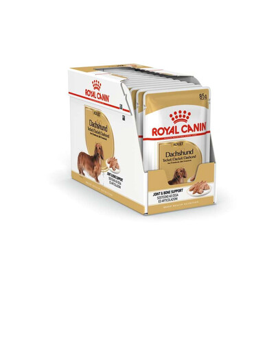 ROYAL CANIN Paštika pro dospělé psy jezevčíků