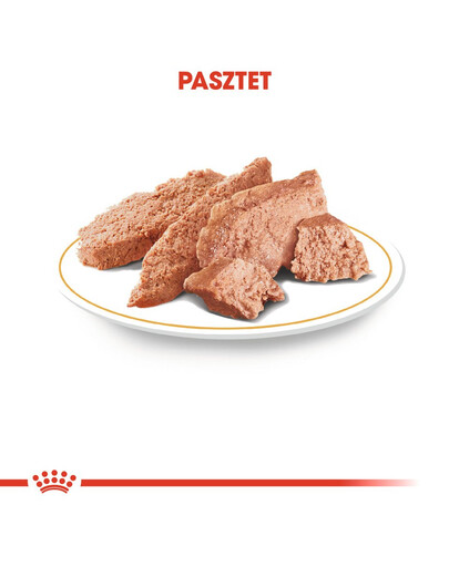 ROYAL CANIN Paštika pro dospělé psy jezevčíků