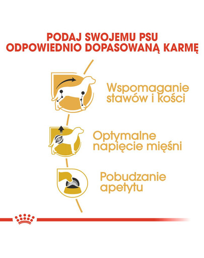 ROYAL CANIN Paštika pro dospělé psy jezevčíků