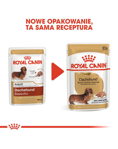 ROYAL CANIN Paštika pro dospělé psy jezevčíků