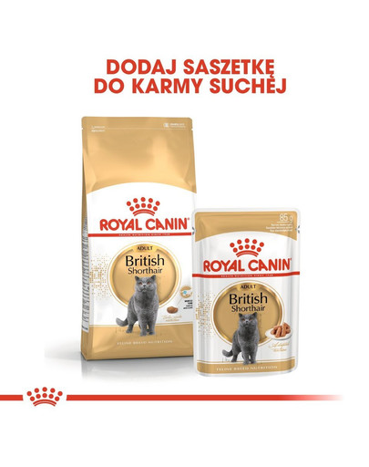 ROYAL CANIN British Shorthair vlhké krmivo v omáčce pro dospělé britské krátkosrsté kočky