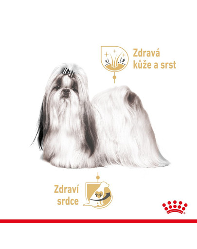 ROYAL CANIN Shih Tzu Adult Loaf mokré krmivo pro dospělé psy plemene shih tzu