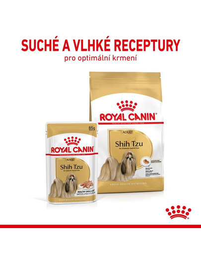 ROYAL CANIN Shih Tzu Adult Loaf mokré krmivo pro dospělé psy plemene shih tzu