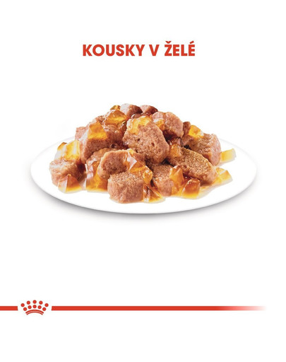 ROYAL CANIN Instinctive v želé