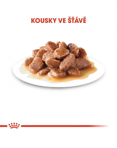 ROYAL CANIN Intense beauty v omáčce